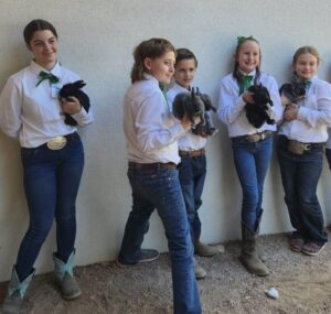 Five kids lined up with their rabbits.