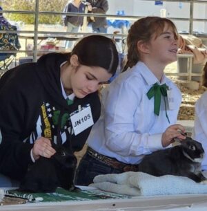 Two girls presenting their rabbits.