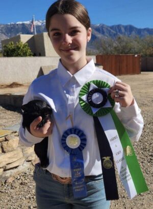 Girl showing ribbon awards and rabbit.