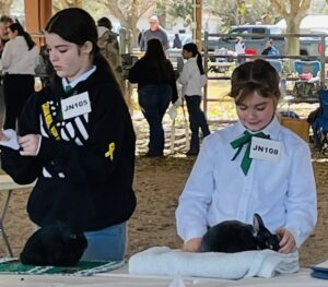 Two girls presenting their rabbits.