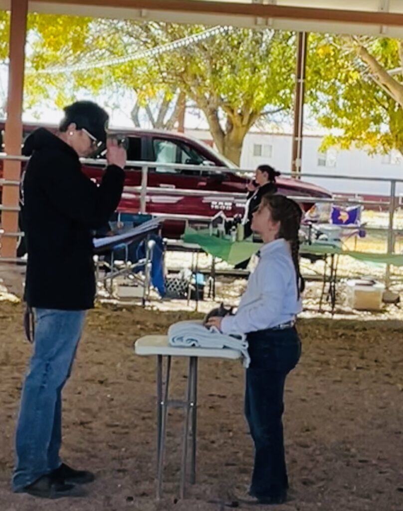 Girl presenting rabbit to judge.