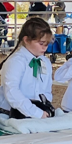 Girl presenting rabbit.