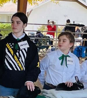 Two girls presenting their rabbits.