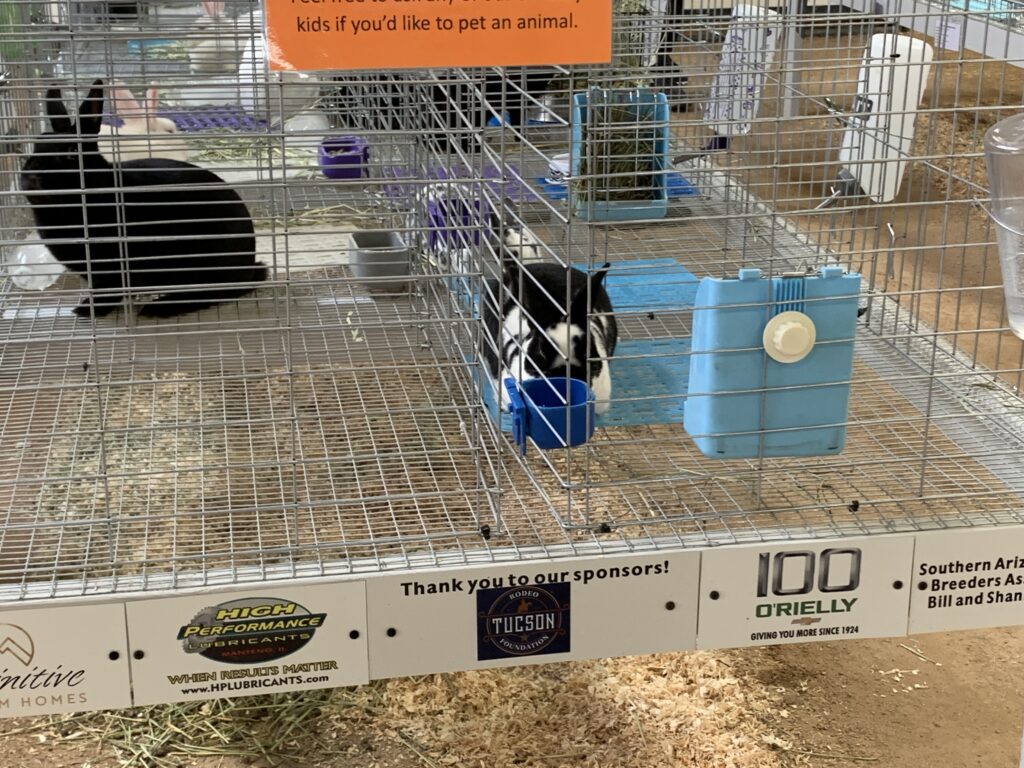 Pima County Fair Rabbit Barn 2024